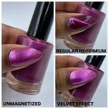 Penelope Luz: SINGLE "Pretty Little" (Magnetic) *OVERSTOCK*