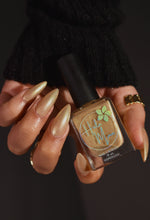 Hula Moon: "Fold in the Cheese" *OVERSTOCK*