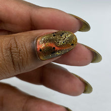 Pepper Polish: DUO "Savanna Sunset" (Magnetic) and "Wild Horizon" *OVERSTOCK*