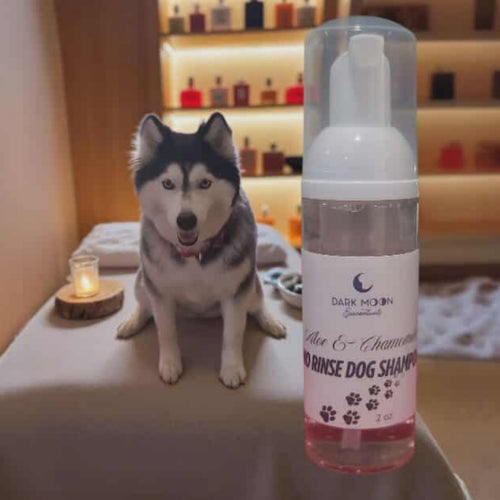 Dark Moon Esscentuals' resident Husky is making an appearance with this month's offering. No Rinse Dog Shampoo with skin and fur safe ingredients such as Aloe Vera and Chamomile extracts!