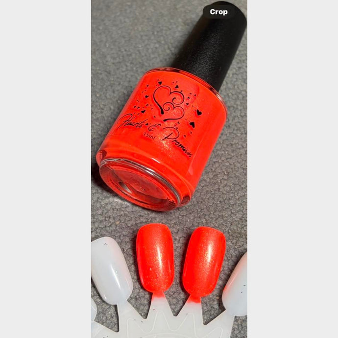 Hearts & Promises: Charity 